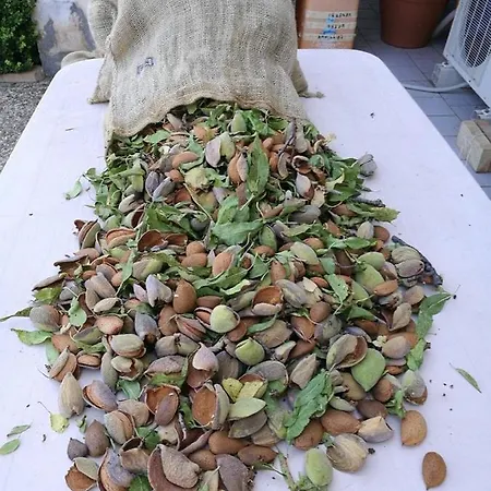 Apartamento Casa àbola *